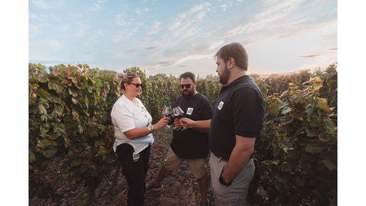 Elaboración de vinos finos de máxima calidad, al servicio de sus clientes.