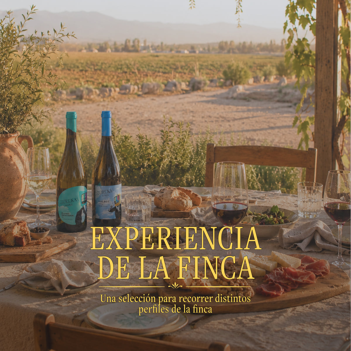 EXPERIENCIA DE LA FINCA